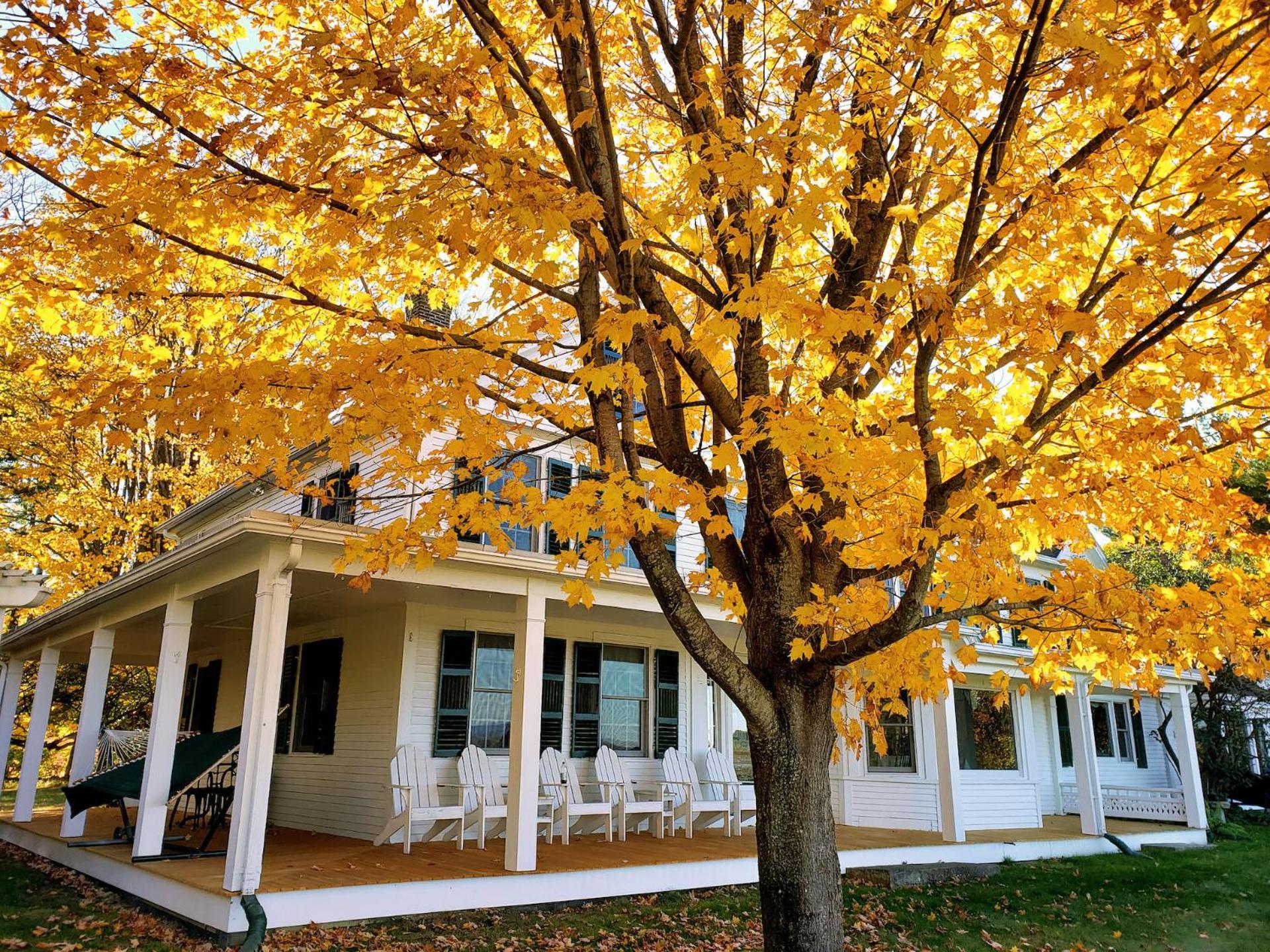 Maguire House Bed And Breakfast Ashburnham Dış mekan fotoğraf